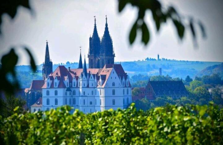 Ferienhaus Dr. Mueller Meißen 外观 照片