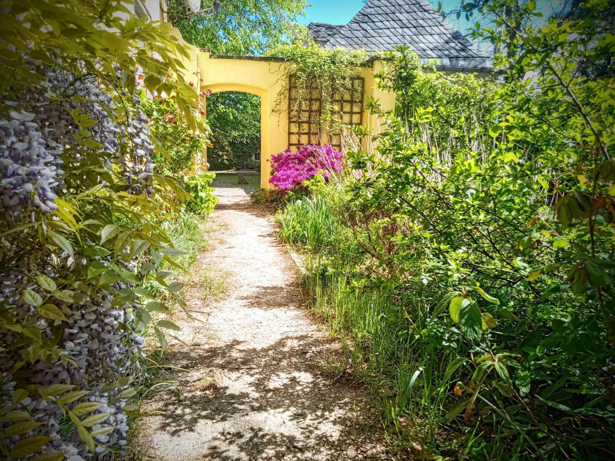 Ferienhaus Dr. Mueller Meißen 外观 照片